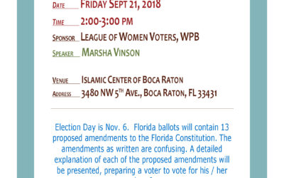 Understanding the Constitution Amendment on Florida Ballot